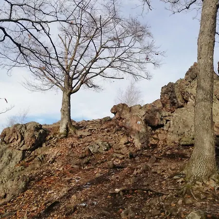 Karadi Vendeghaz