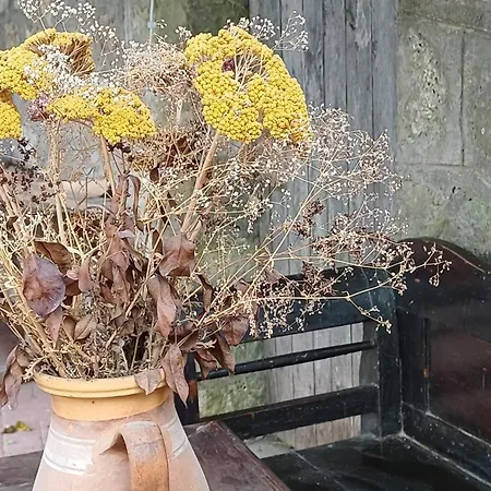 Karadi Vendeghaz Háromhuta