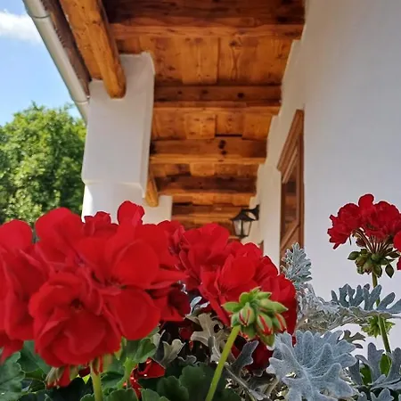 Affittacamere Karádi *