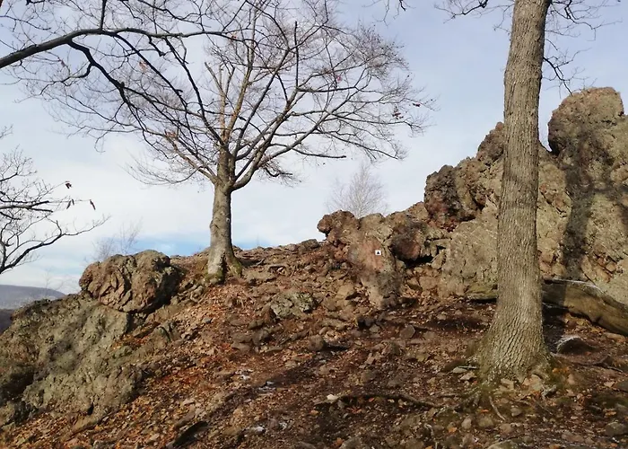 Karadi Vendeghaz