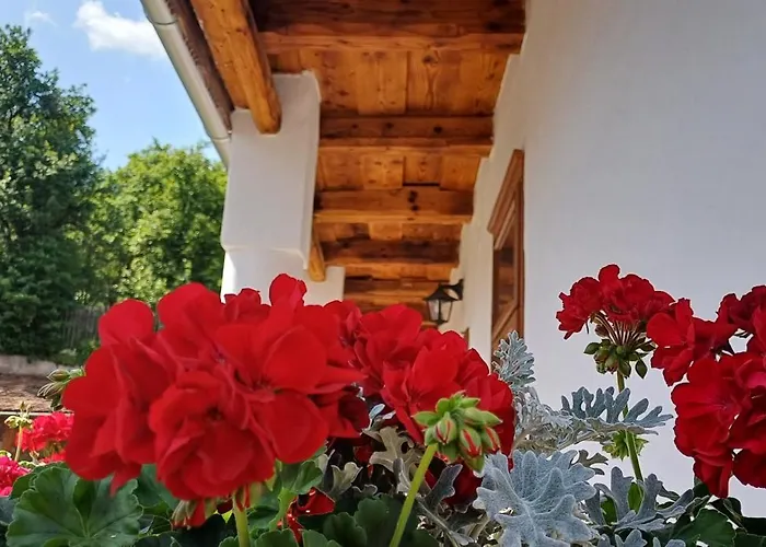 Konukevi Karadi Vendeghaz *